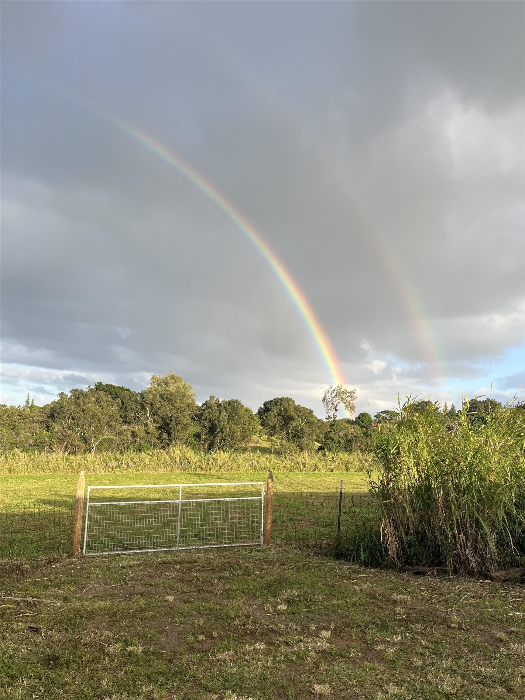 2865 Hana Highway, Unit CPR A Haiku, HI 96708 - Photo 4 of 15 a view of an ocean