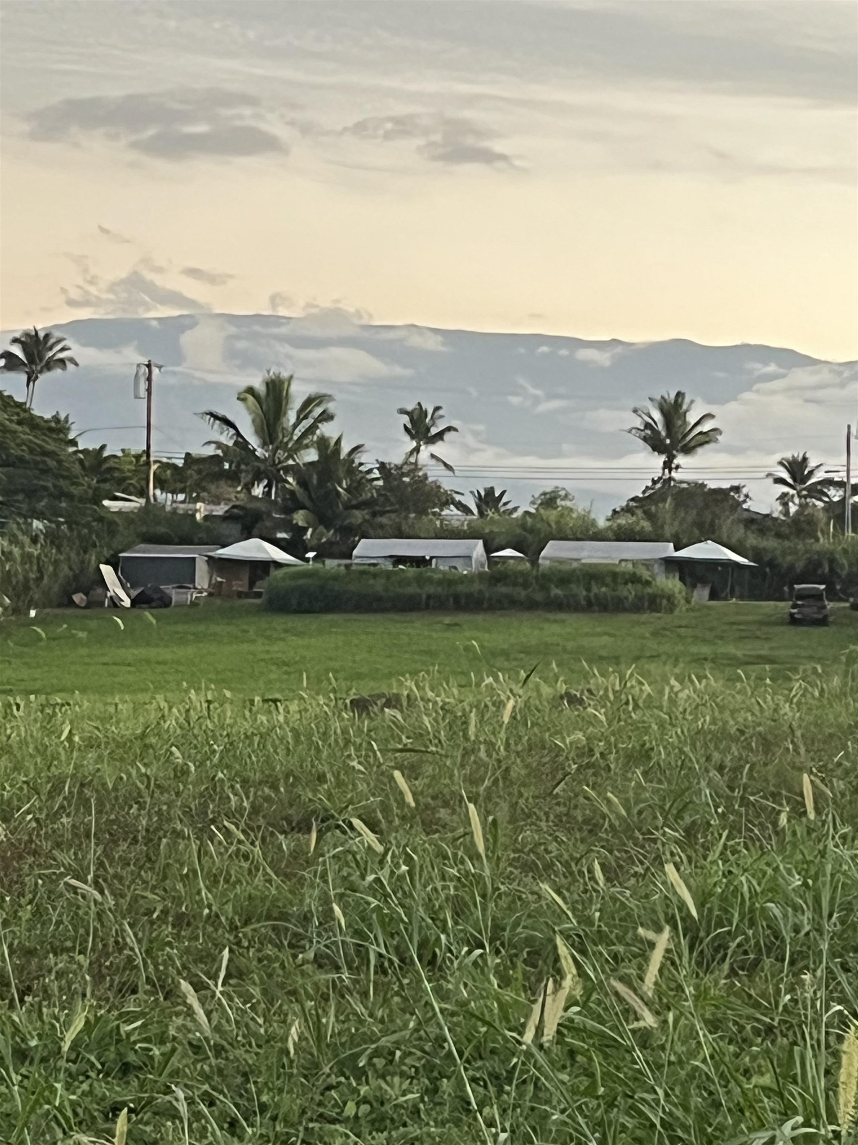 2865 Hana Highway, Unit CPR A Haiku, HI 96708 - Photo 6 of 15 a view of a green field with clear sky