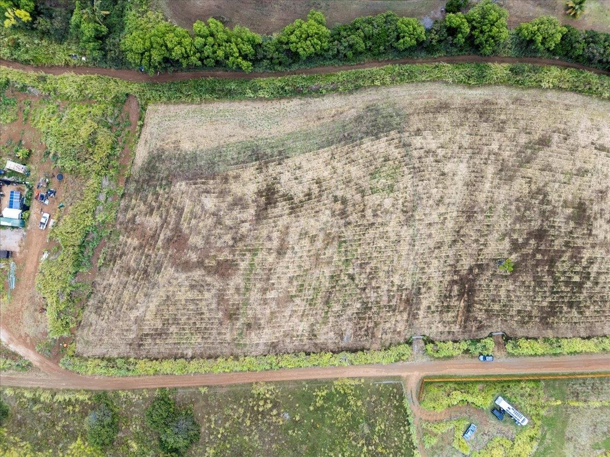 2865 Hana Highway, Unit A Haiku, HI 96708 - Photo 8 of 11