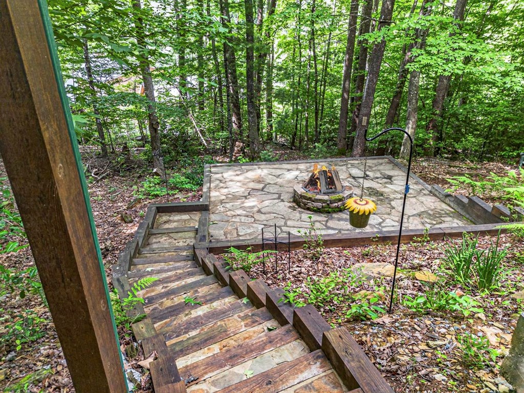 115 Lakota Trail Blue Ridge, GA 30513 - Photo 43 of 49 a view of a backyard with sitting area