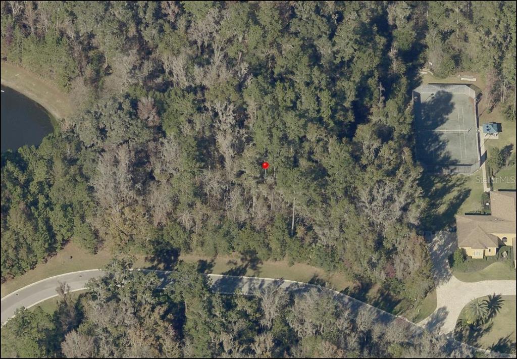 Southeast 47th Street Ocala, FL 34480 - Photo 3 of 10 a view of a forest with a dry yard