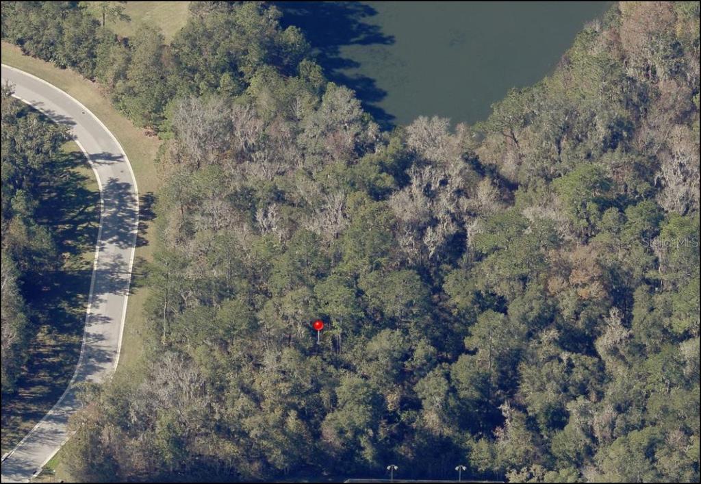 Southeast 47th Street Ocala, FL 34480 - Photo 4 of 10 a view of a dry yard