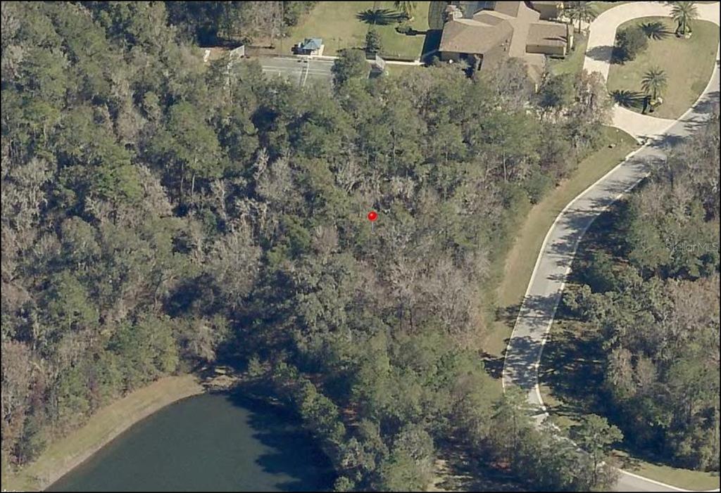 Southeast 47th Street Ocala, FL 34480 - Photo 5 of 10 a view of a yard with trees
