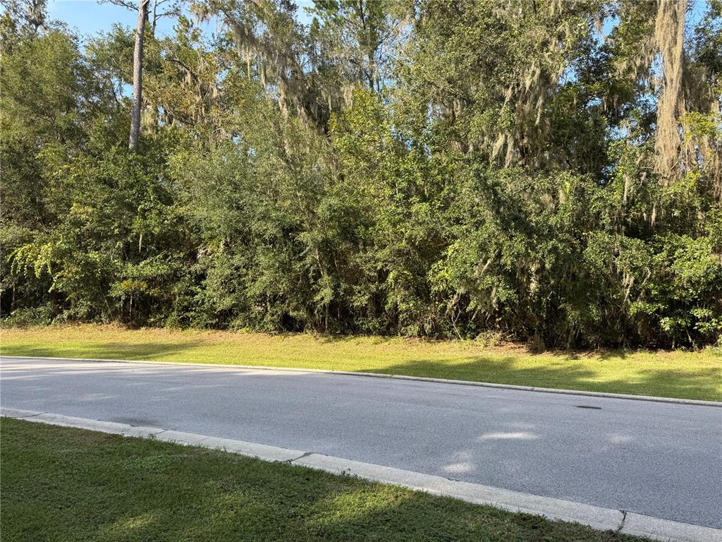 Southeast 47th Street Ocala, FL 34480 - Photo 9 of 10 a view of an ocean view