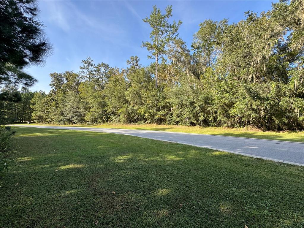 Southeast 47th Street Ocala, FL 34480 - Photo 10 of 10 a view of yard with green space and trees