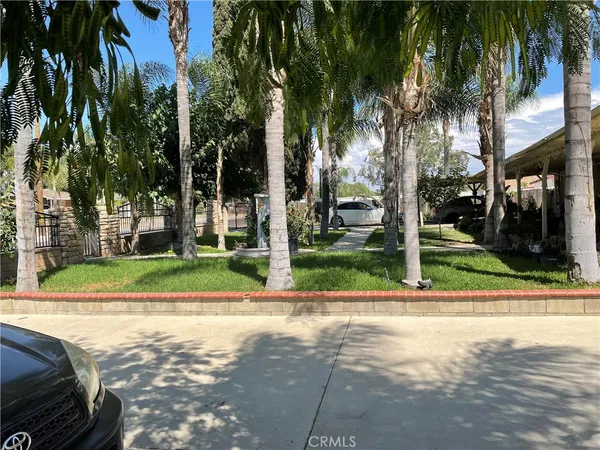 a view of a park with palm trees