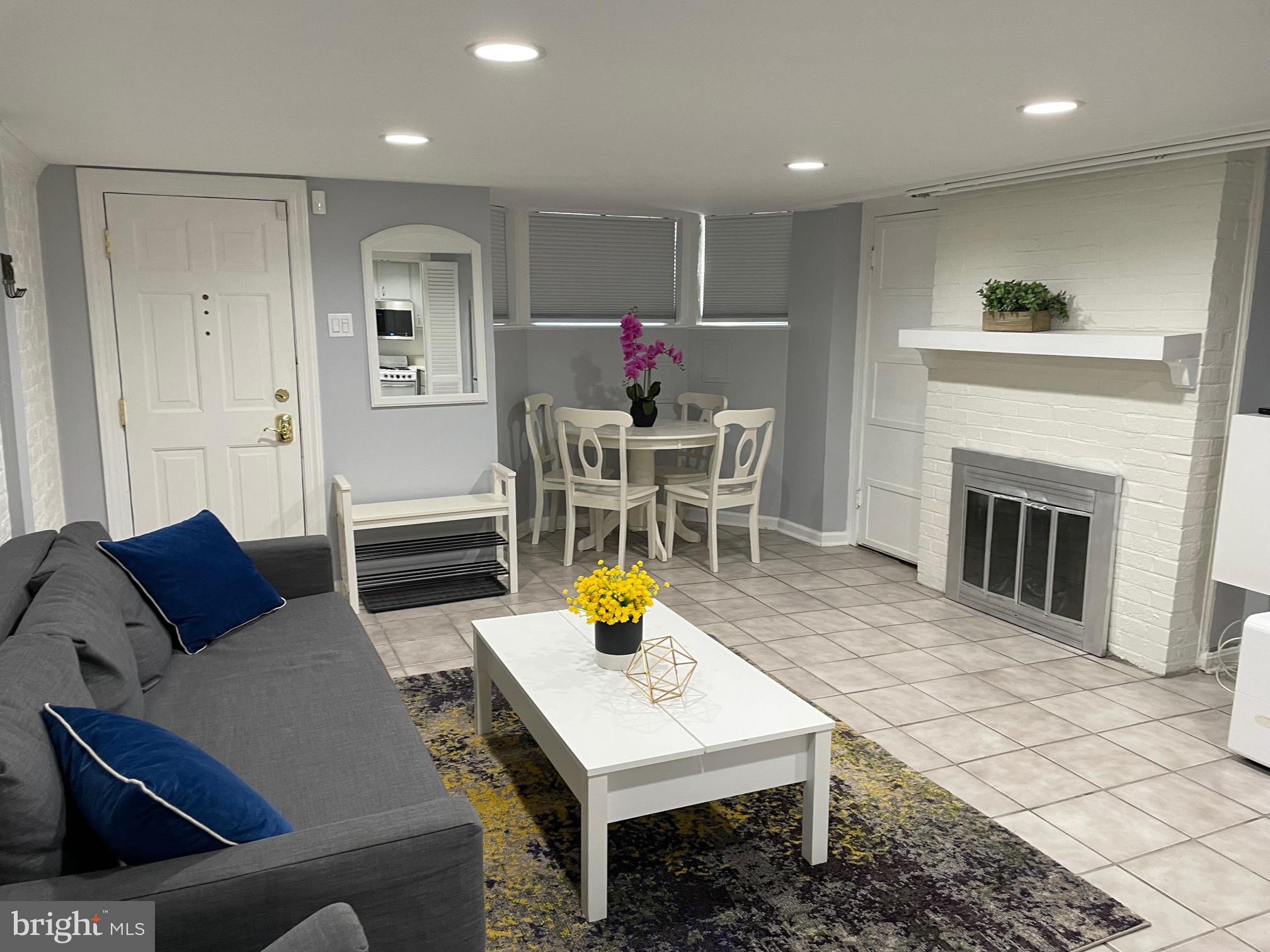 549 4th Street Southeast Washington, DC 20003 - Photo 24 of 33 Large Lower Level Living Room