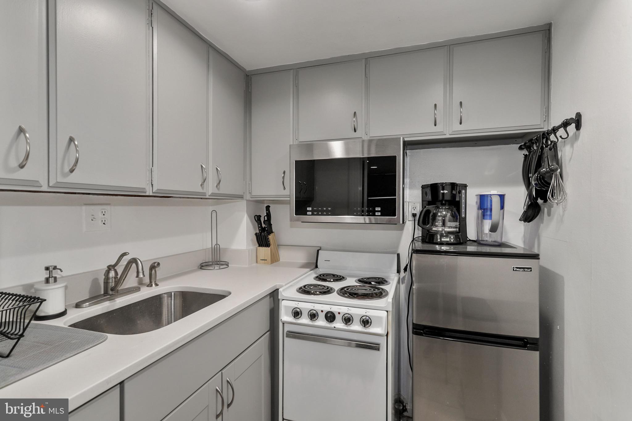 549 4th Street Southeast Washington, DC 20003 - Photo 29 of 33 Kitchen w/ New Refrigerator and Built In Microwave