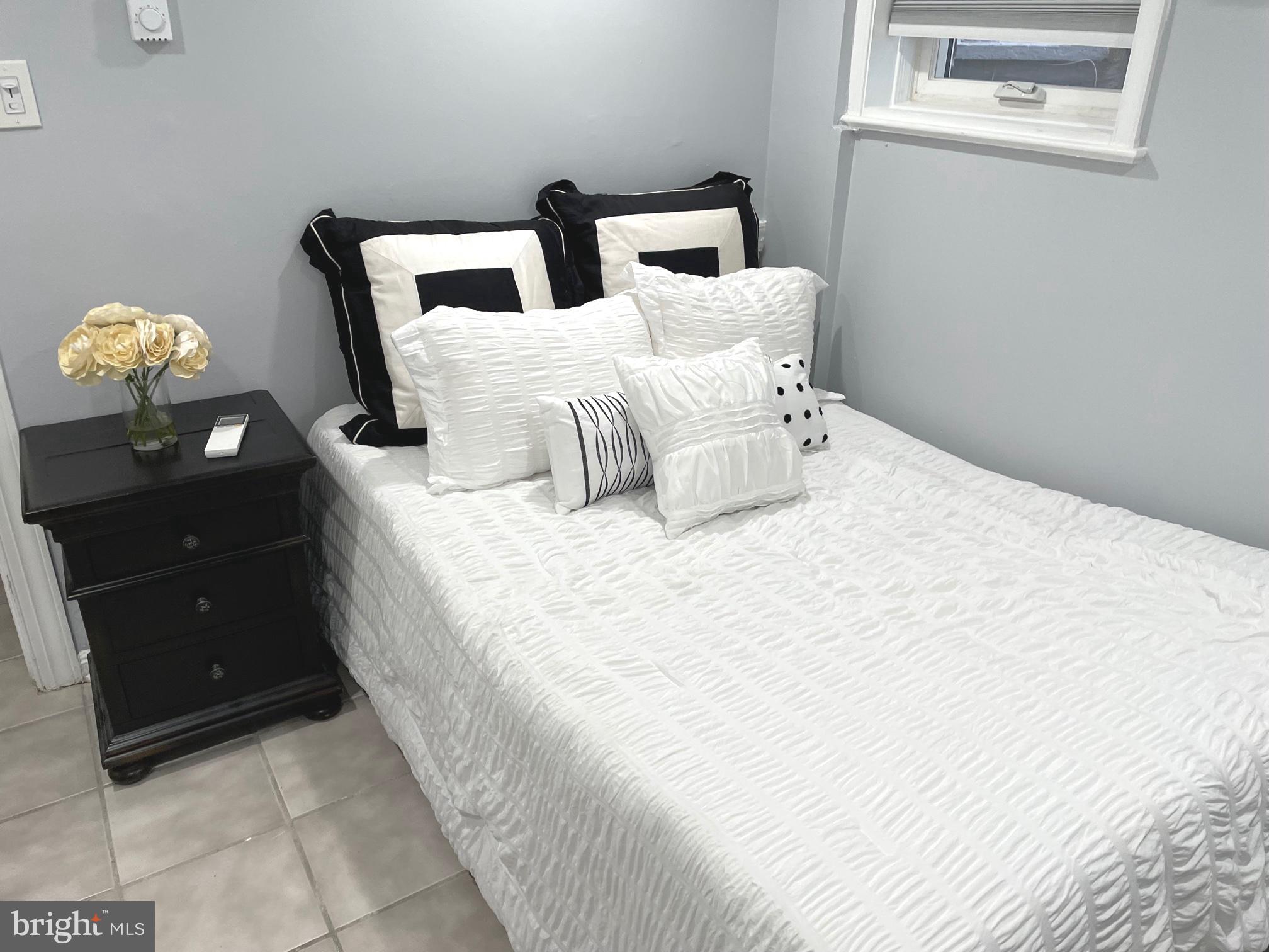 549 4th Street Southeast Washington, DC 20003 - Photo 31 of 33 Lower Level Bedroom