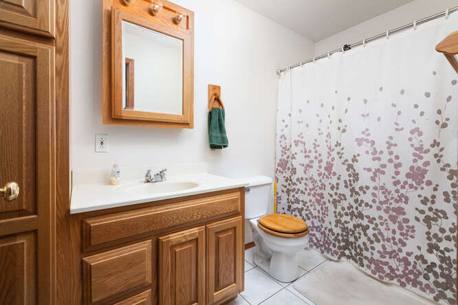 2658 East 1559th Road Ottawa, IL 61350 - Photo 44 of 53 a bathroom with a sink a toilet and a mirror