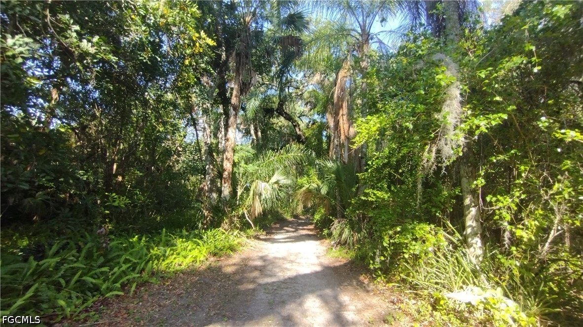 1469 Coffee Mill Hammock Road Southwest Moore Haven, FL 33471 - Photo 3 of 40
