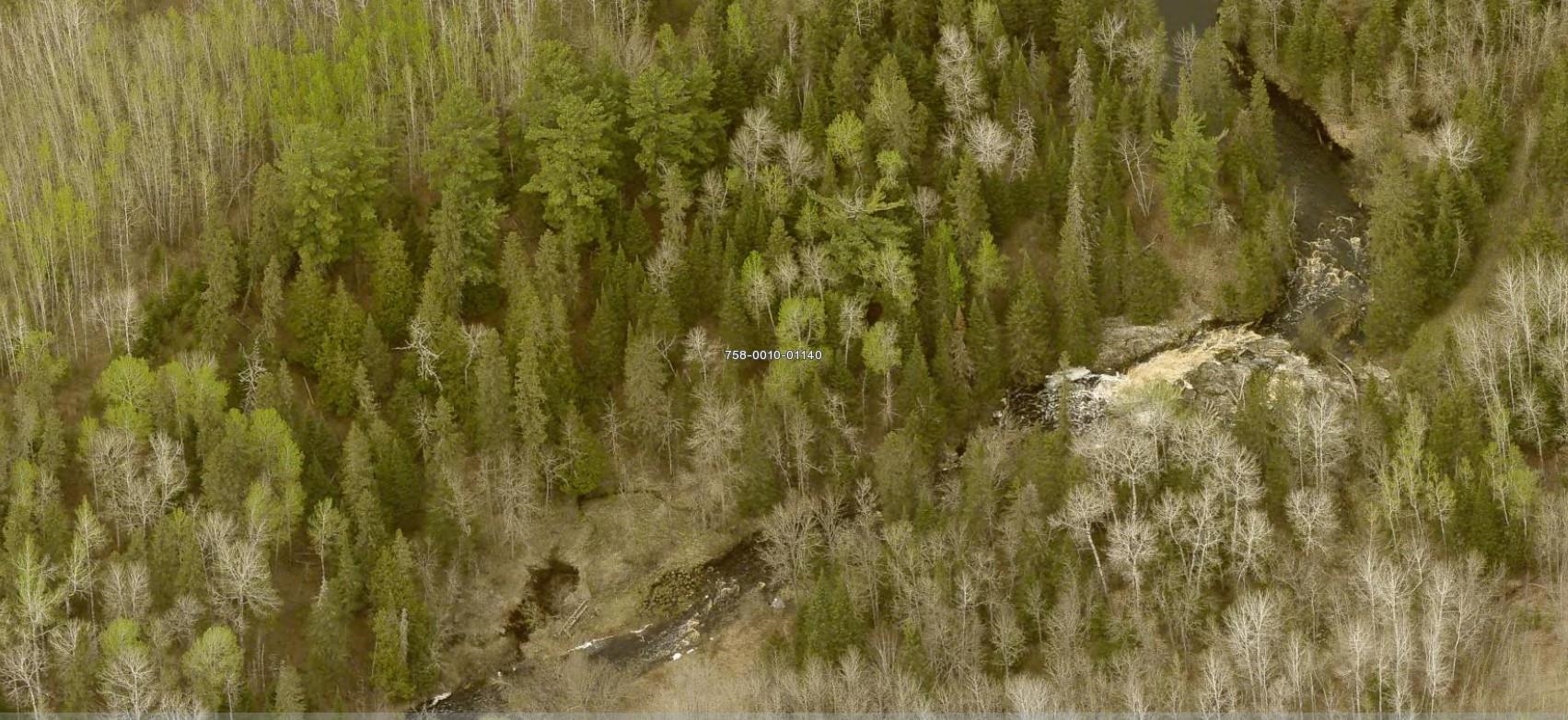 Tbd Willow Tbd Willow Greaney Road Orr, MN 55771 - Photo 2 of 10 View of nature with a wooded view