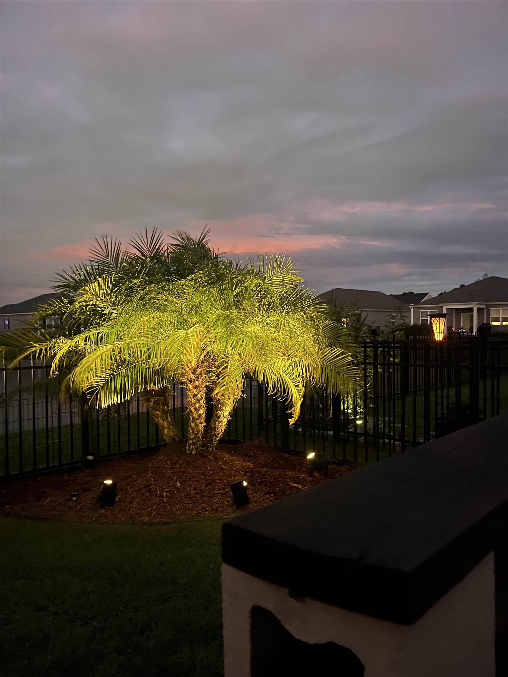 413 Accord Street Myrtle Beach, SC 29588 - Photo 38 of 40 Photo taken in Spring