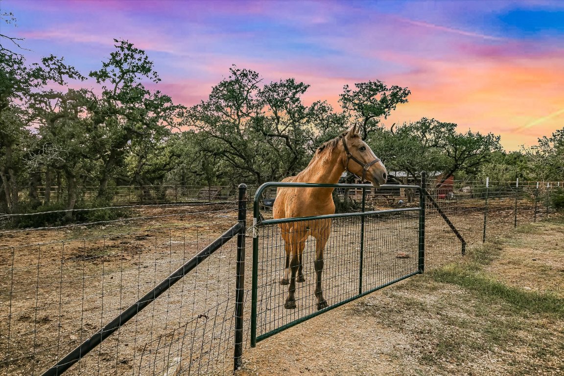 8305 Ozark Drive San Marcos, TX 78666 - Photo 28 of 34