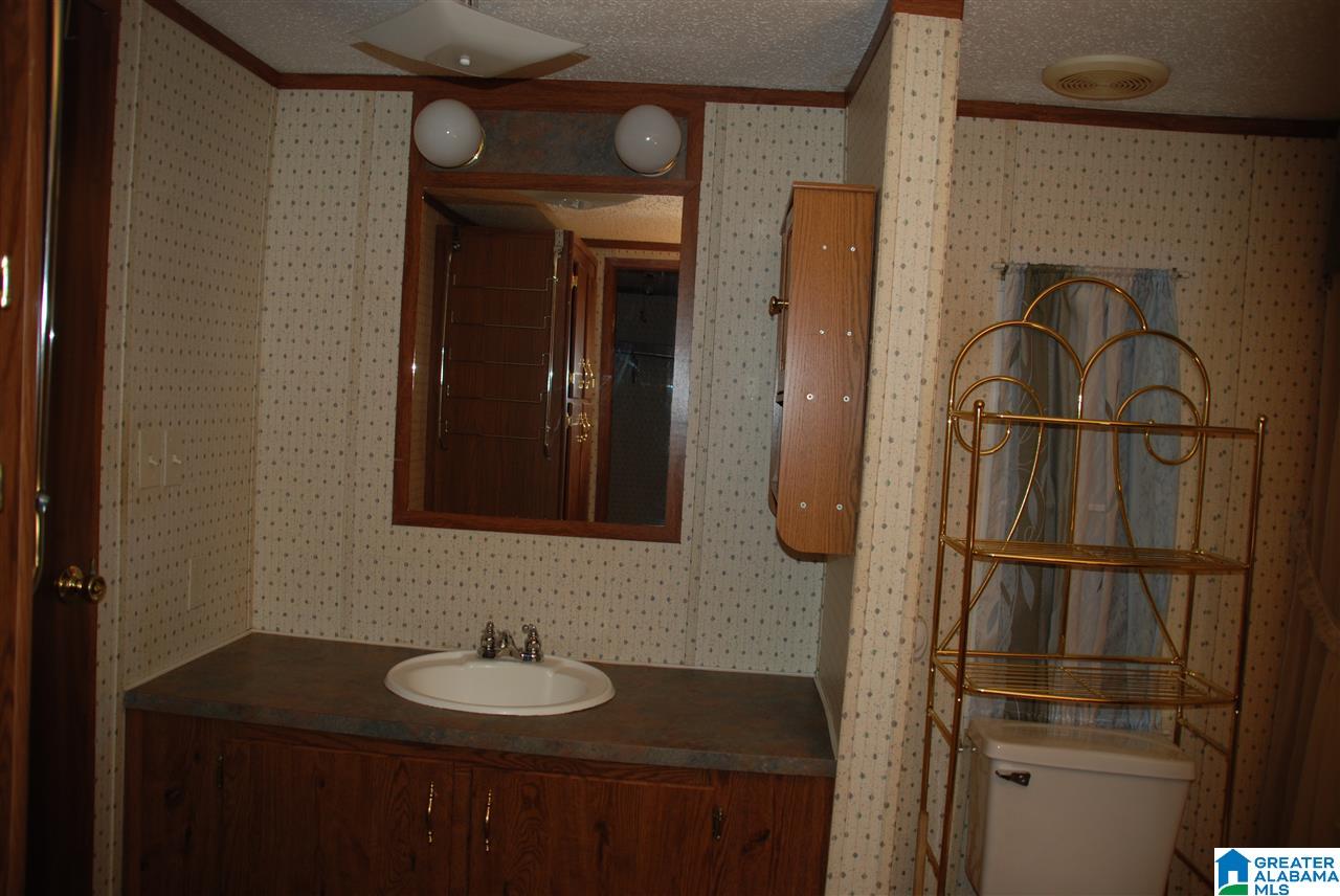 96 Wilson Road Warrior, AL 35180 - Photo 21 of 25