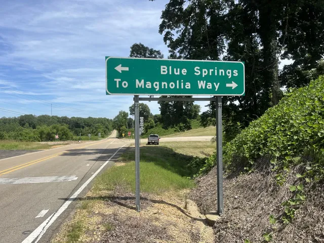 a black and white photo of a garden