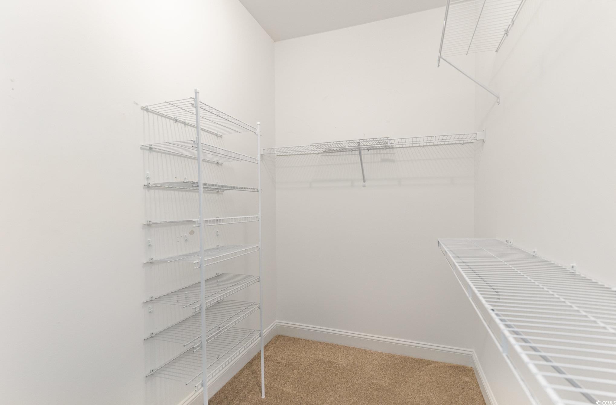 1438 Perch Place Longs, SC 29568 - Photo 19 of 39 Spacious closet featuring carpet floors