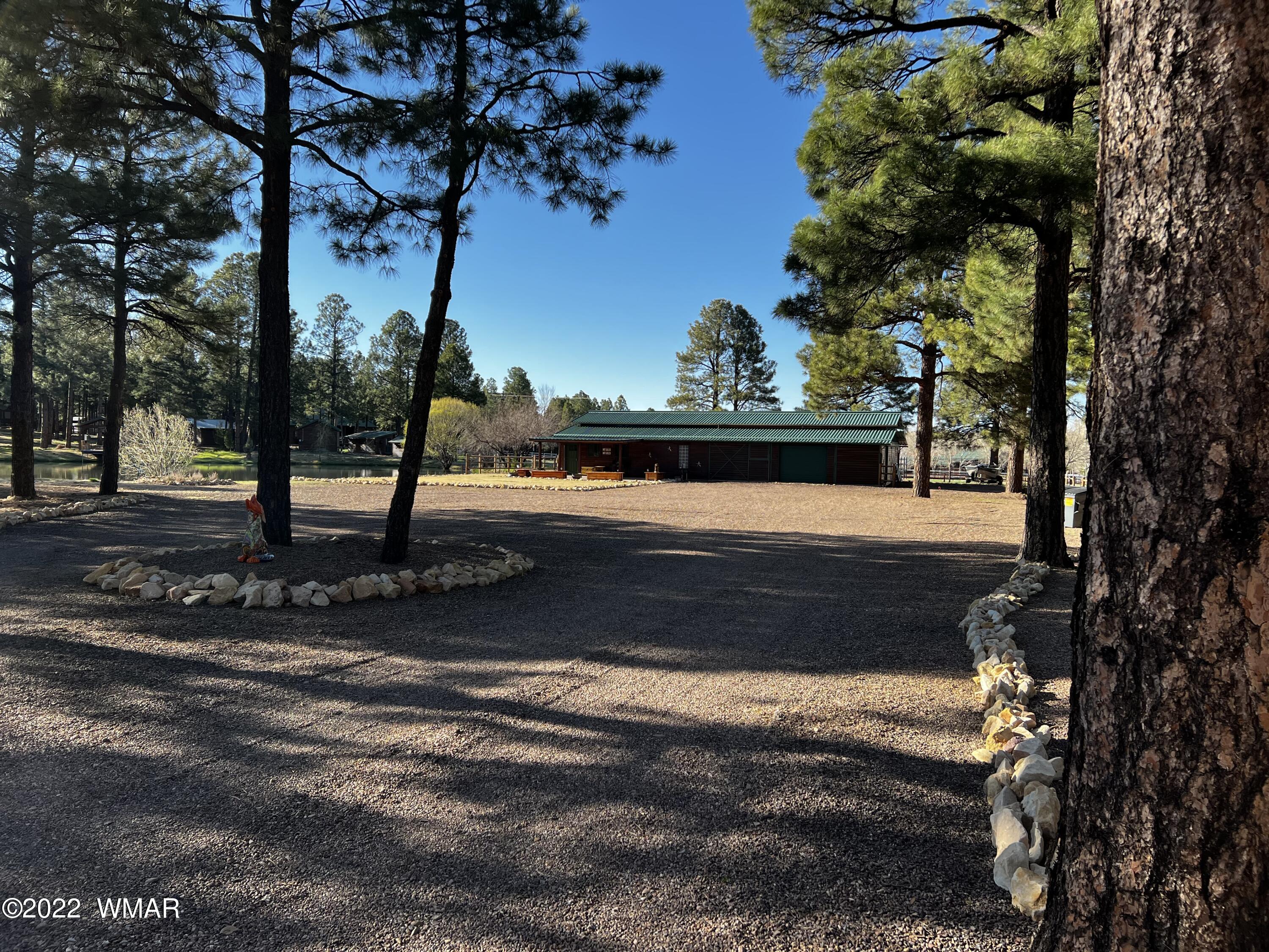2308 Bison Rnch Trail Overgaard, AZ 85933 - Photo 4 of 66 Gallery Image 4