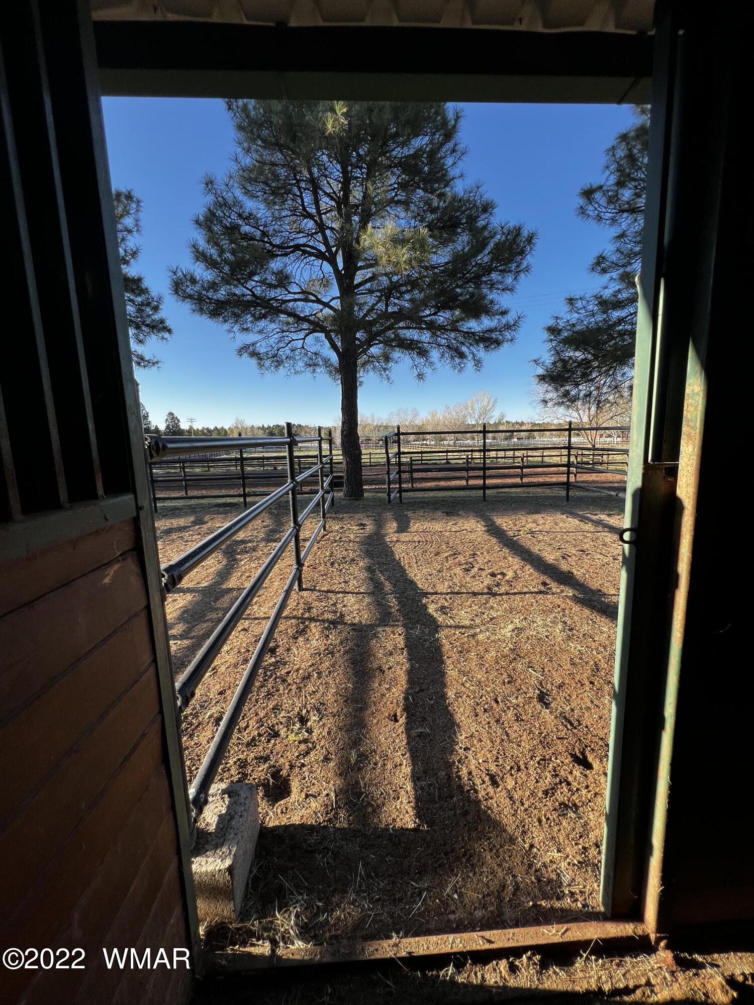 2308 Bison Rnch Trail Overgaard, AZ 85933 - Photo 50 of 66 Gallery Image 50