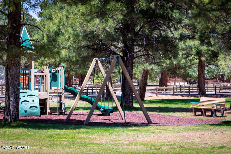 2308 Bison Rnch Trail Overgaard, AZ 85933 - Photo 61 of 66 Gallery Image 61