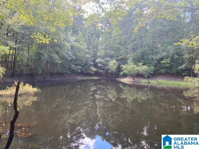 4250 Jolley Road Bessemer, AL 35022 - Photo 34 of 43