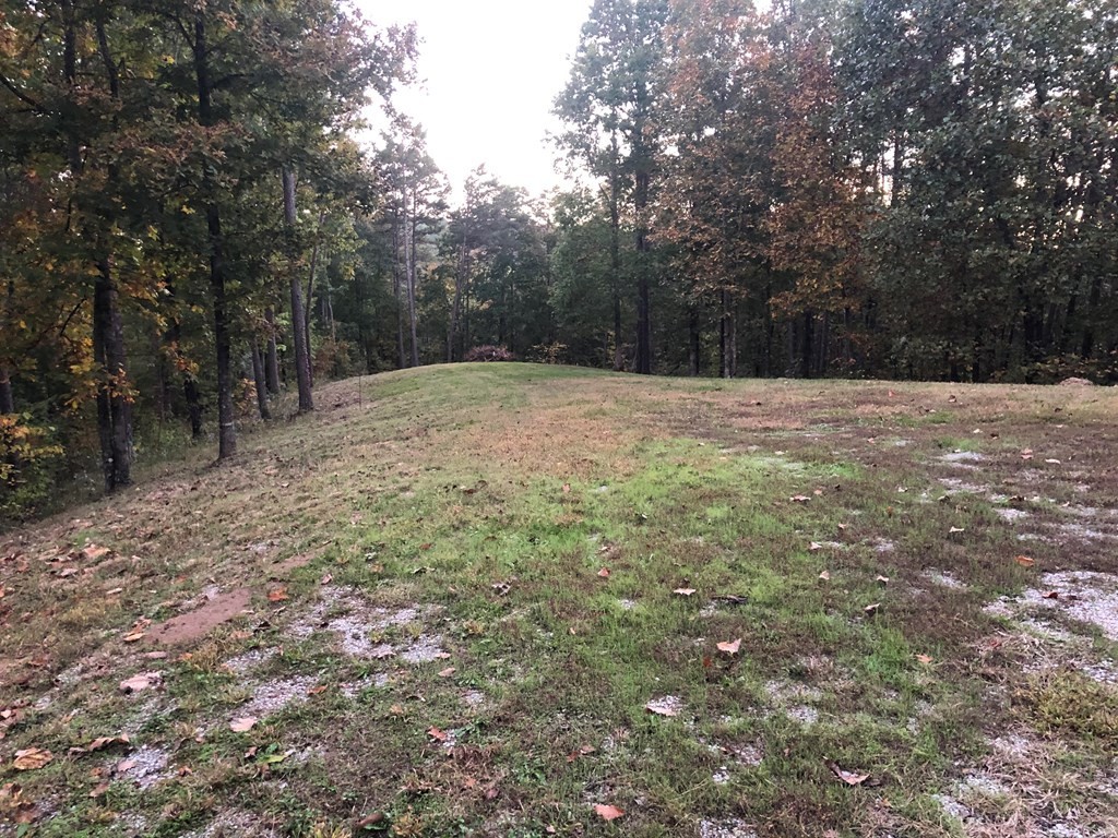 112 Logans Gap Road Old Fort, TN 37362 - Photo 3 of 5 a view of backyard with outdoor space