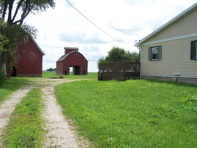 1120 North 32nd Road Ottawa, IL 61350 - Photo 17 of 23 a view of a yard with a large tree