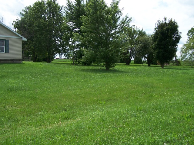 1120 North 32nd Road Ottawa, IL 61350 - Photo 3 of 23 a view of green field with trees in the background