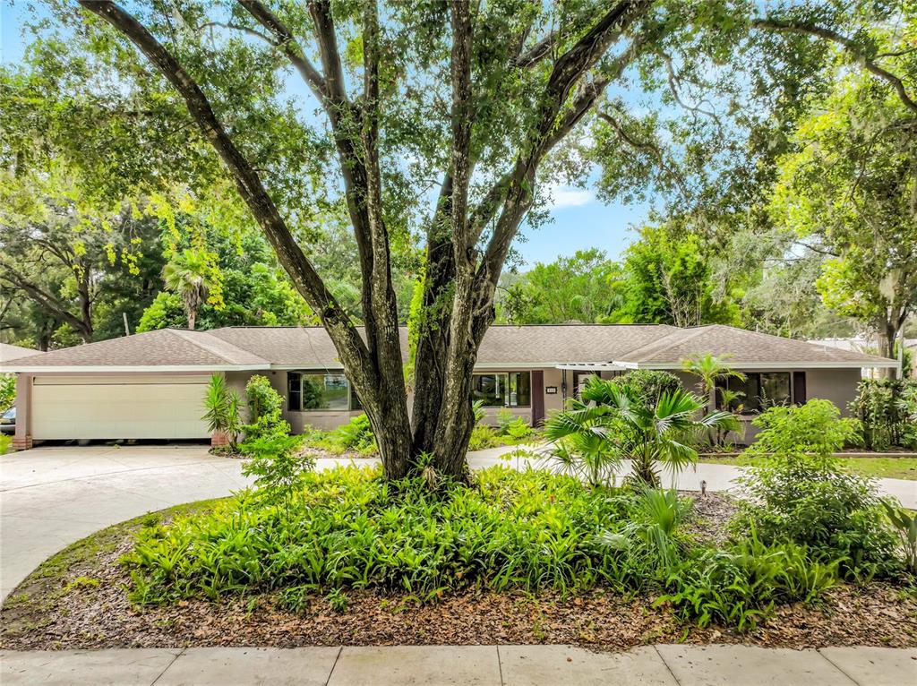 300 Pinecrest Road Mount Dora, FL 32757 - Photo 2 of 75