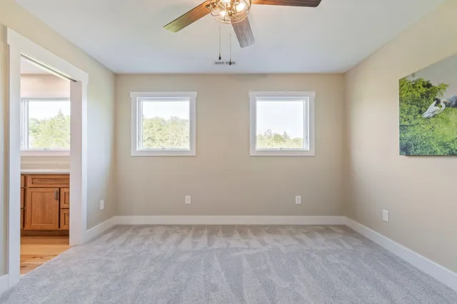 a view of a park with large trees