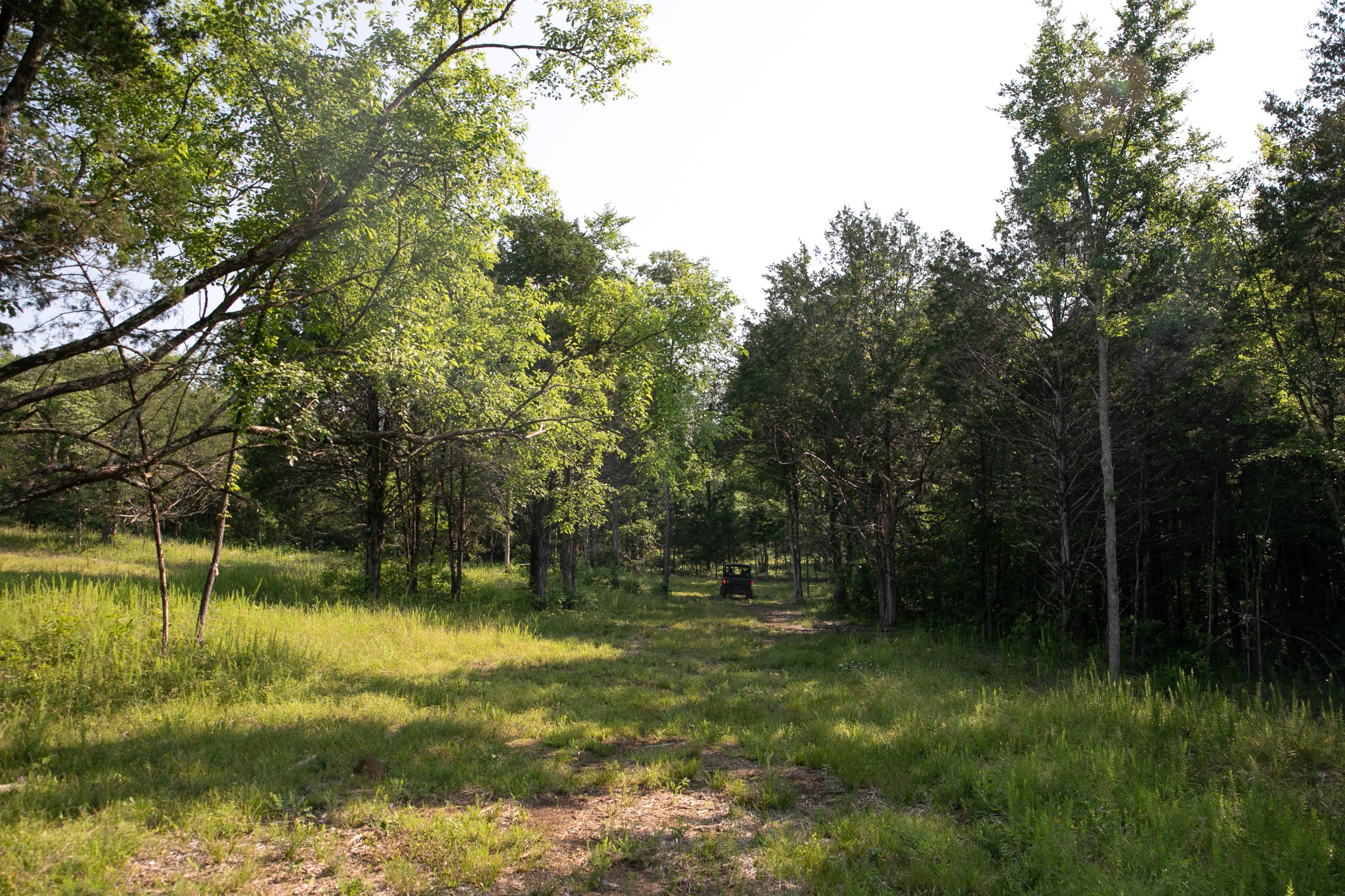 2825 Oregon Road Milton, TN 37118 - Photo 43 of 71 a view of a lake with a yard and large trees