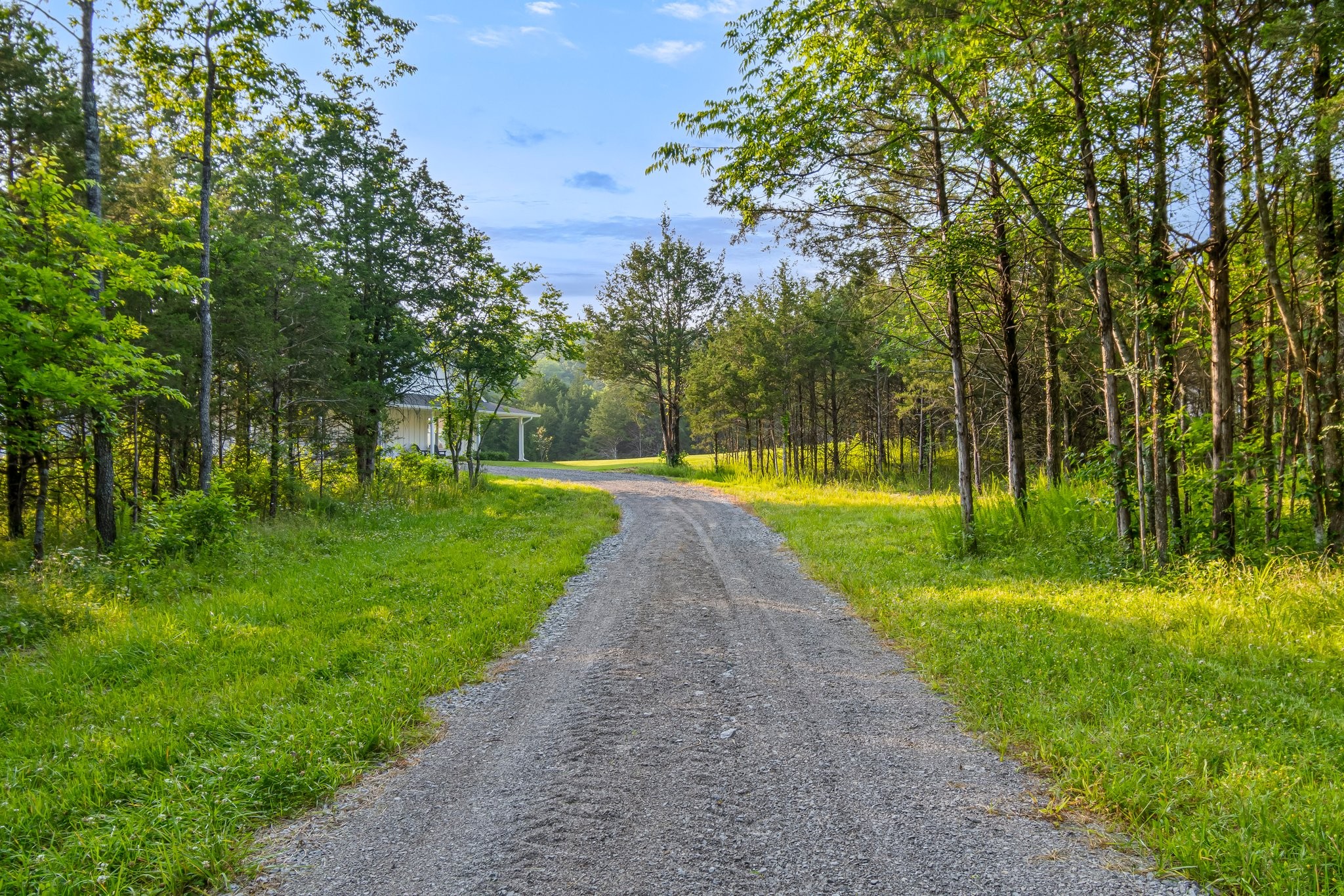 2825 Oregon Road Milton, TN 37118 - Photo 53 of 71 a view of a park with large trees