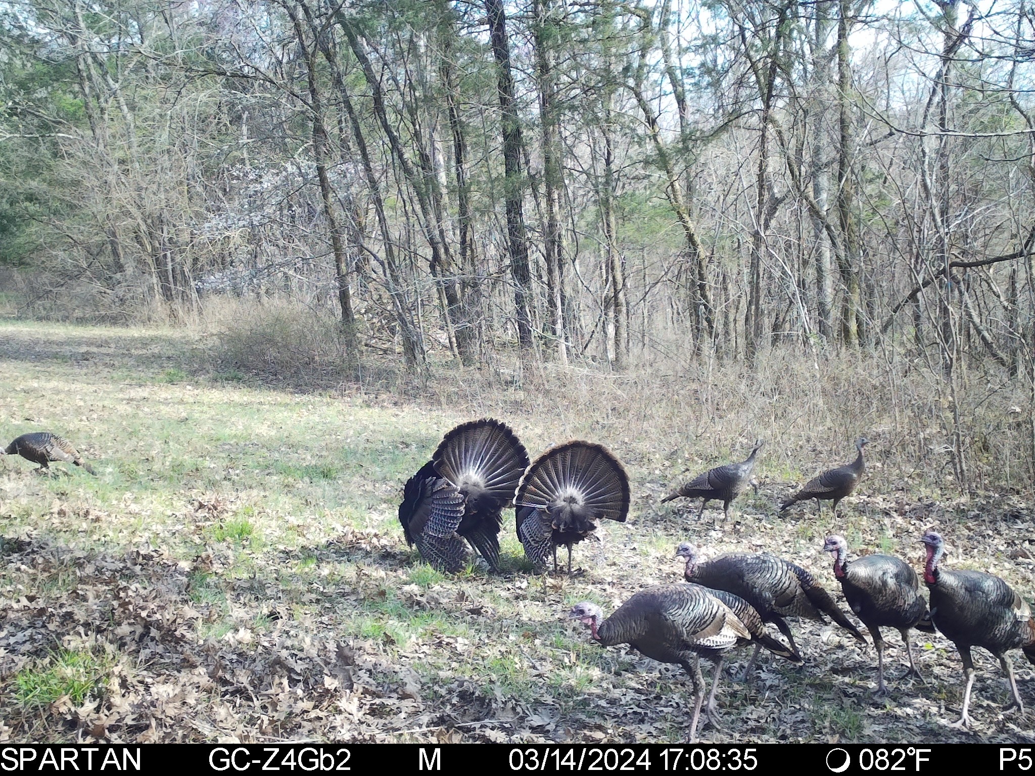 2825 Oregon Road Milton, TN 37118 - Photo 58 of 71