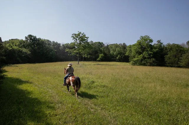a front view of a house with garden and porch