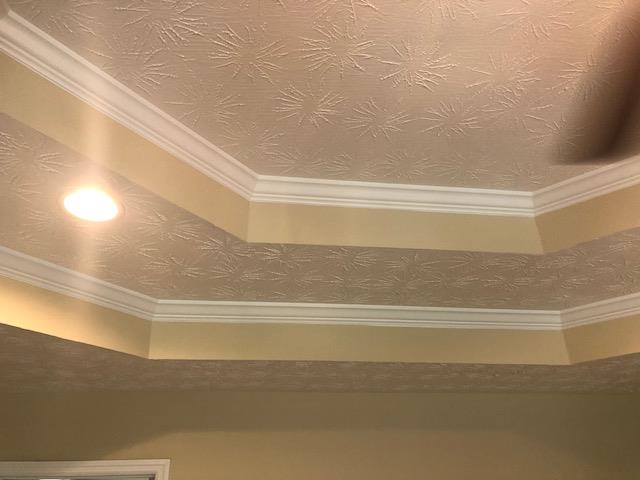 407 Quail Ridge Drive Midland, GA 31820 - Photo 18 of 28 ceilings in master bedroom