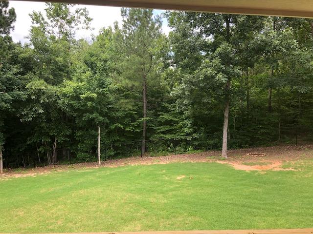 407 Quail Ridge Drive Midland, GA 31820 - Photo 24 of 28 back yard