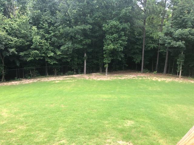 407 Quail Ridge Drive Midland, GA 31820 - Photo 25 of 28 private backyard