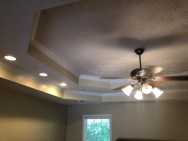 407 Quail Ridge Drive Midland, GA 31820 - Photo 8 of 28 specialty ceiling in family room