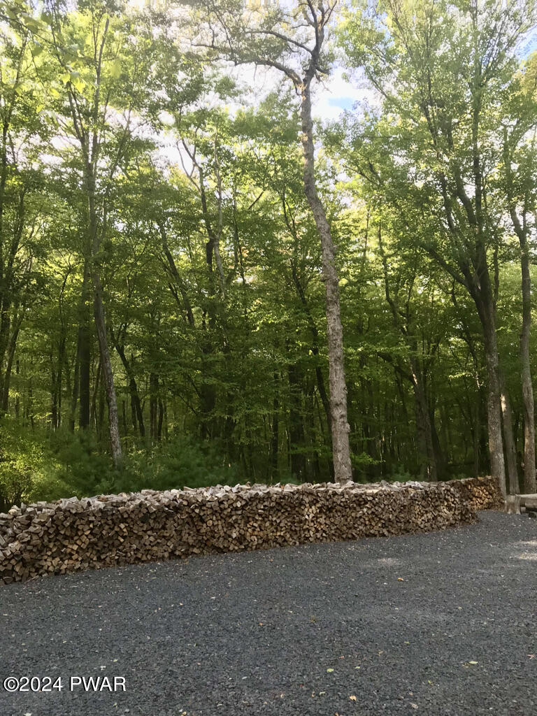 113 Fire Lane Road Dingmans Ferry, PA 18328 - Photo 10 of 79 10 cut /stacked cords