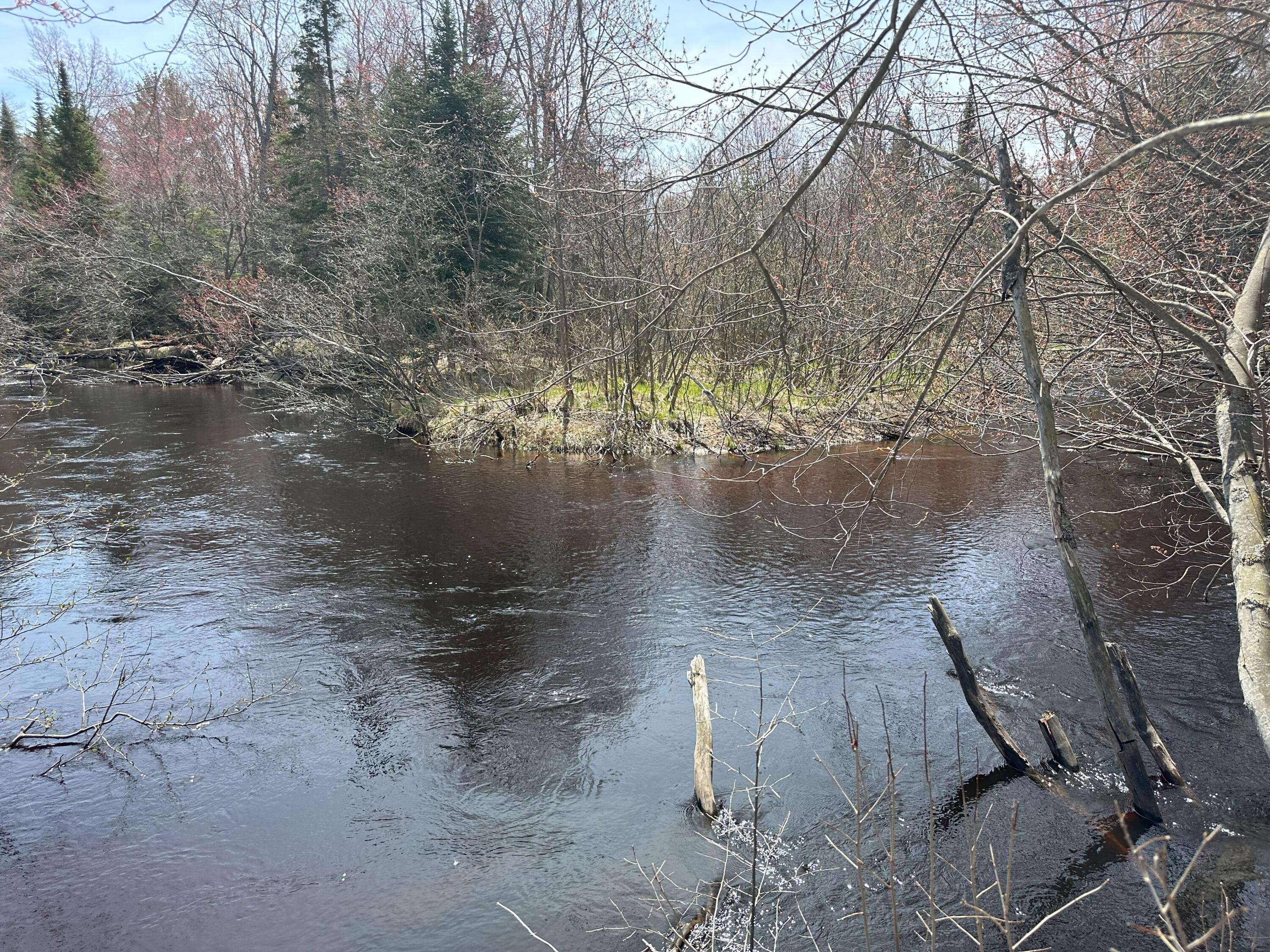 Tbd West Betsy River Road Paradise, MI 49768 - Photo 14 of 44 Gallery Image 14