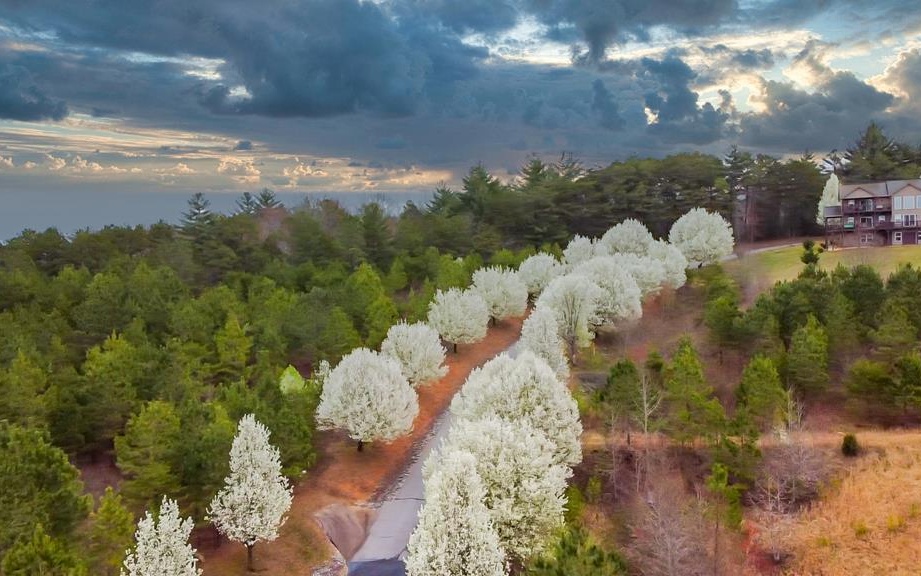 32 Bear Paw Views Murphy, NC 28906 - Photo 2 of 4 Additional View
