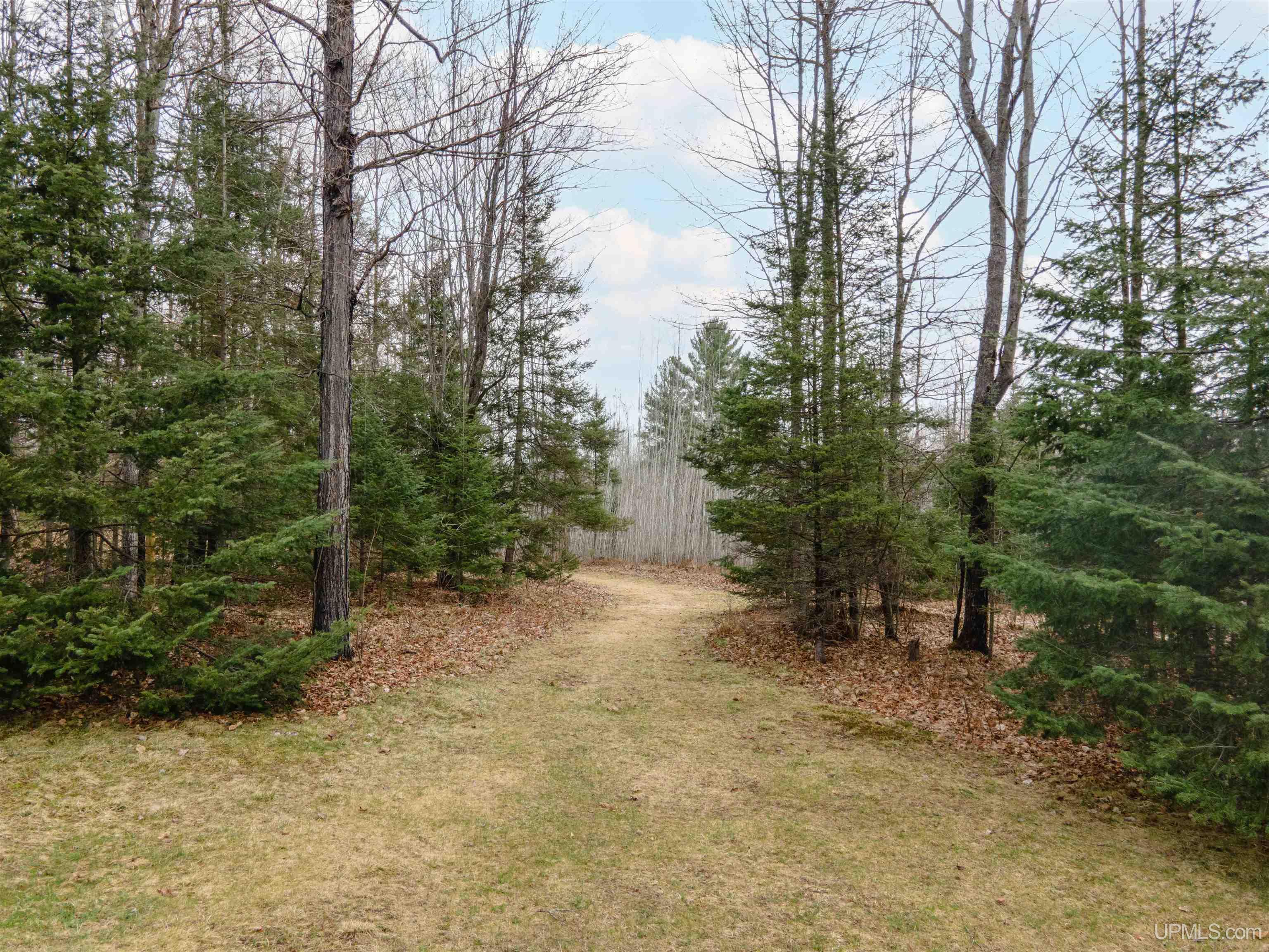 172 Soderena Road Crystal Falls, MI 49920 - Photo 39 of 42