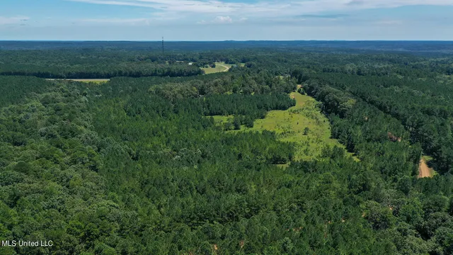 $749,900 | 144 Gum Branch To Highway 25 Road, Sturgis, MS 39769