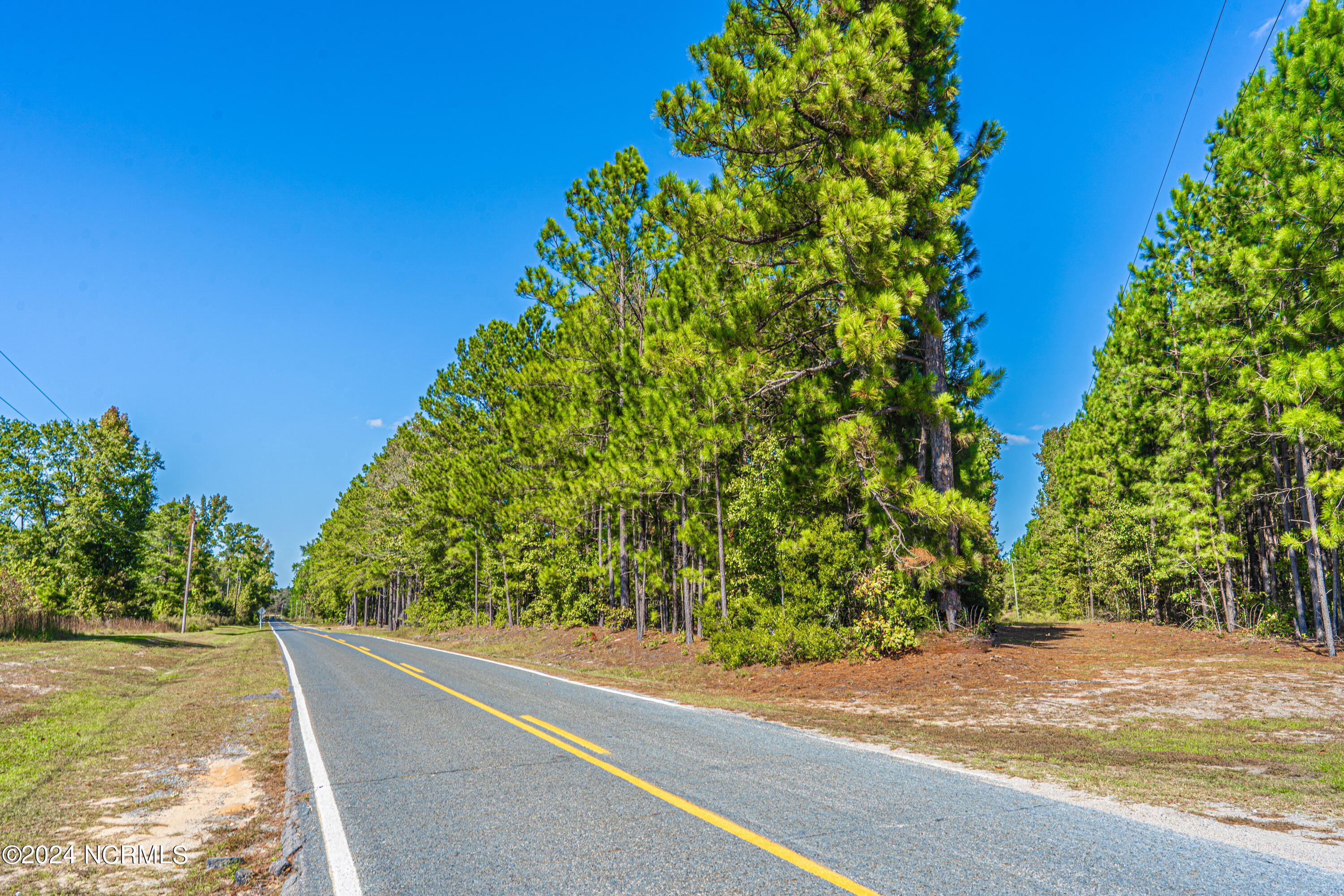 Tbd McAllister Road Marston, NC 28363 - Photo 12 of 12 Easement access area