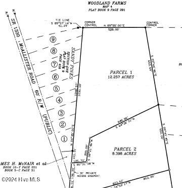 Tbd McAllister Road Marston, NC 28363 - Photo 6 of 12 Parcel 1 & Lot 6 conveying