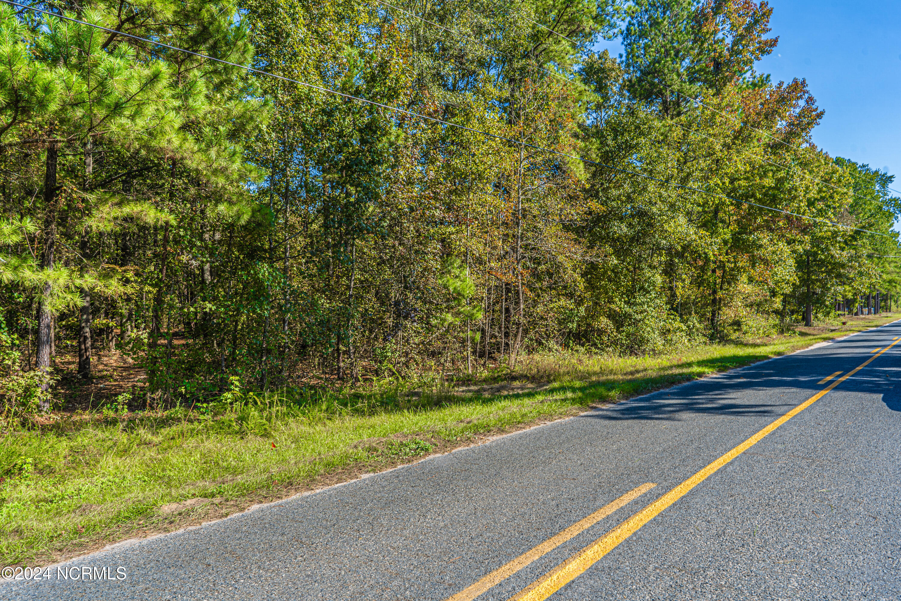 Tbd McAllister Road Marston, NC 28363 - Photo 9 of 12 Area where smaller parcel meets road