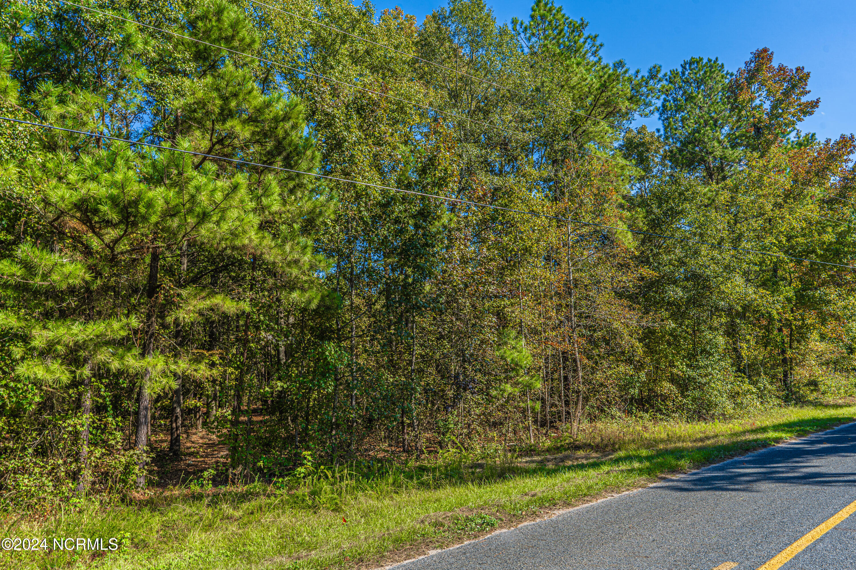 Tbd McAllister Road Marston, NC 28363 - Photo 10 of 12 Area where smaller parcel meets road