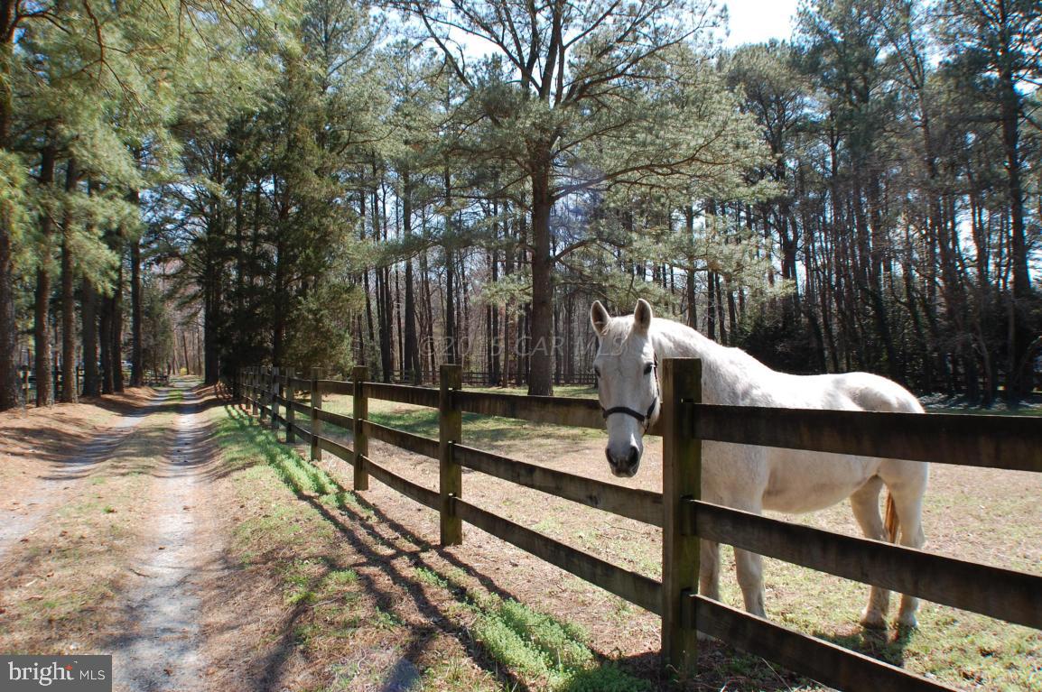 28121 Riverside Drive Salisbury, MD 21801 - Photo 2 of 21 Gallery Image 2