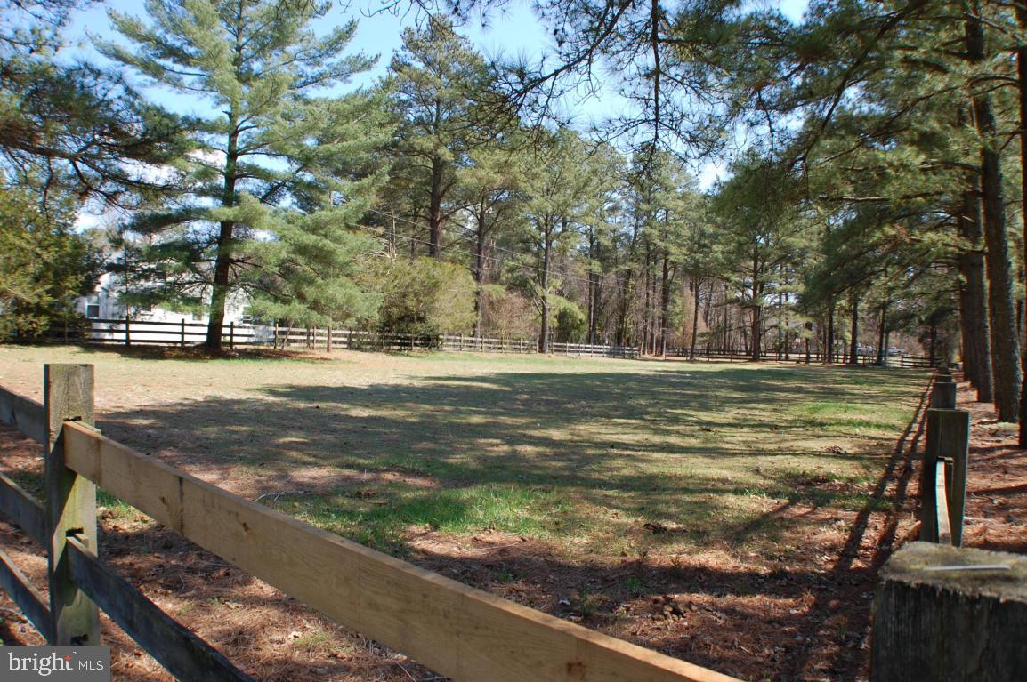28121 Riverside Drive Salisbury, MD 21801 - Photo 7 of 21 Gallery Image 7