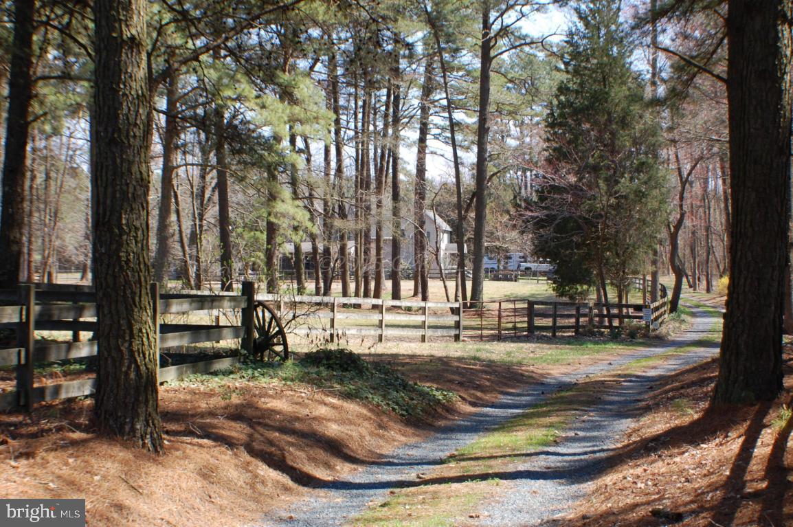28121 Riverside Drive Salisbury, MD 21801 - Photo 8 of 21 Gallery Image 8